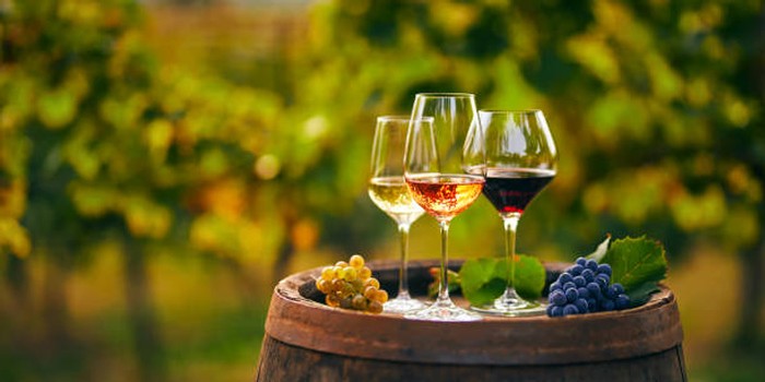 Wine Club Party